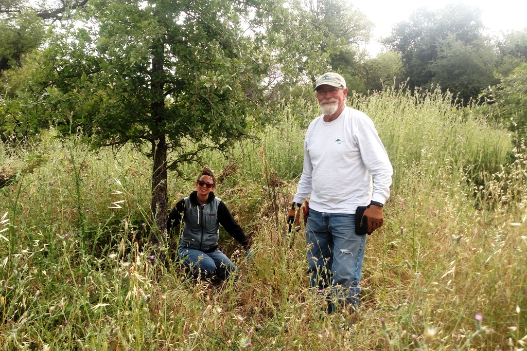 Maggie and Cory weeding after removing a cage.